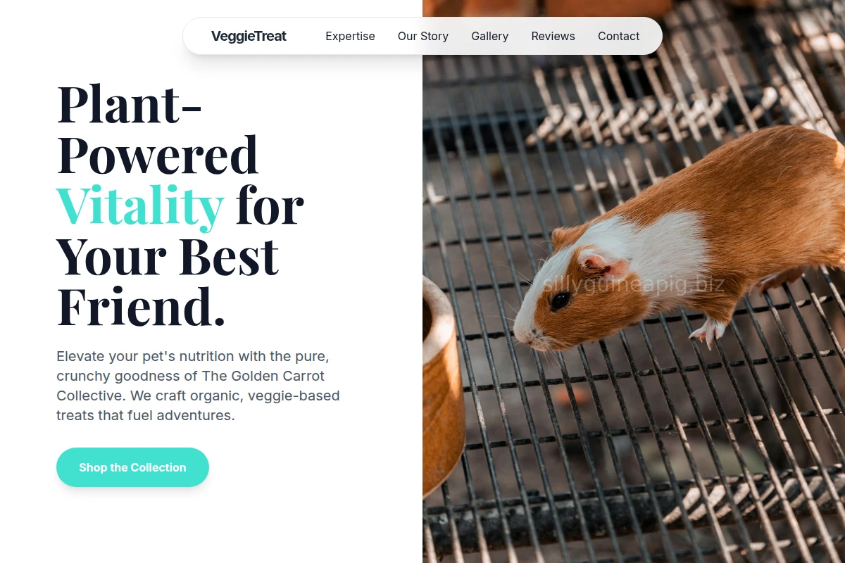 VeggieTreat Animal Care