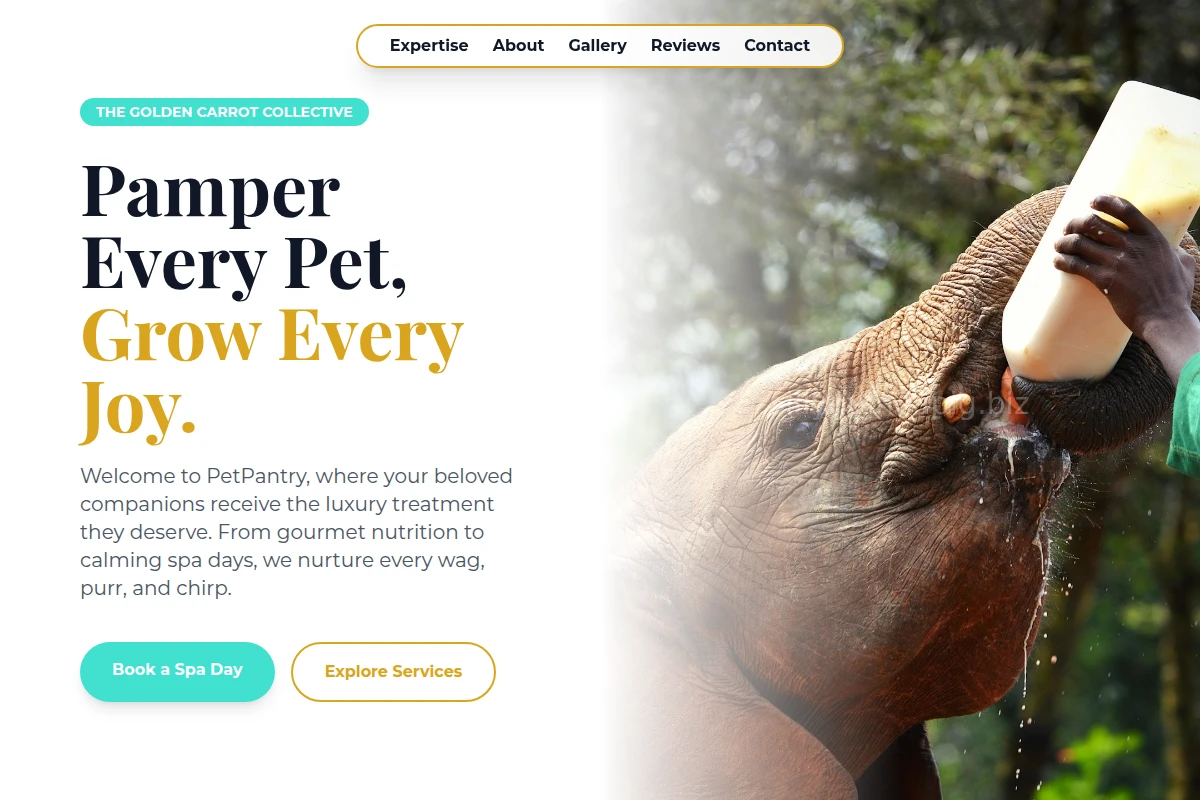 PetPantry Animal Care