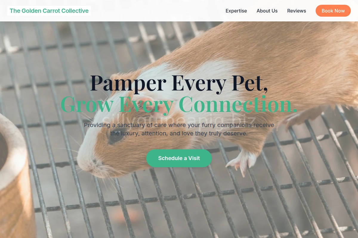PetParadise Animal Care
