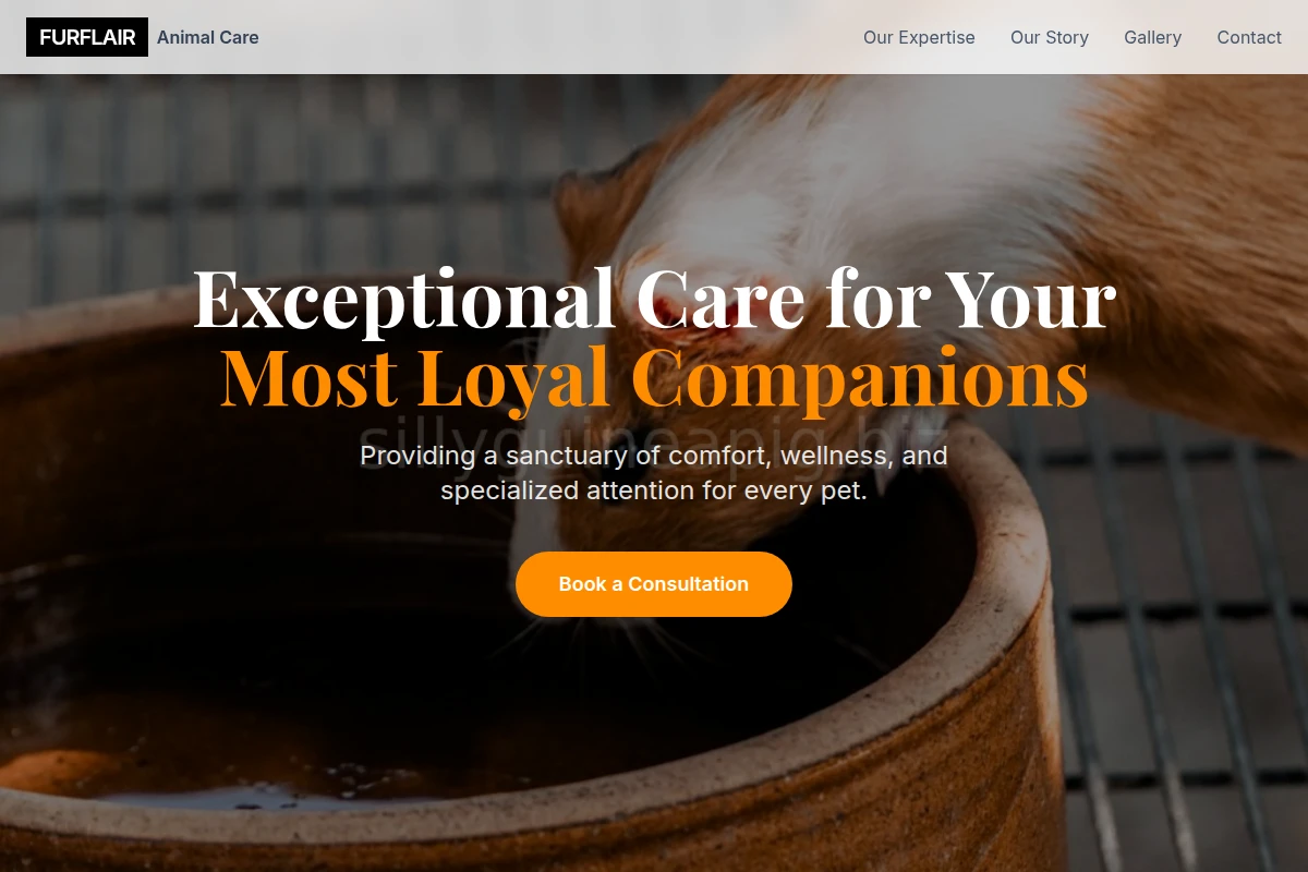 FurFlair Animal Care
