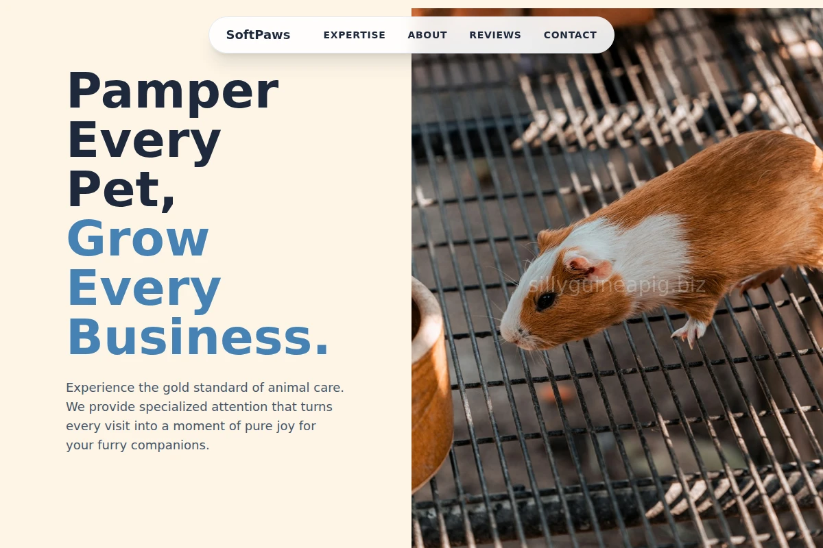 SoftPaws Animal Care