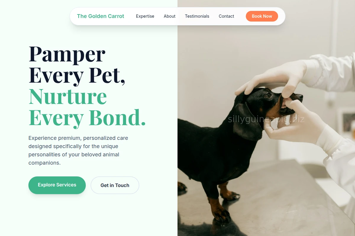 FurryFinds Animal Care