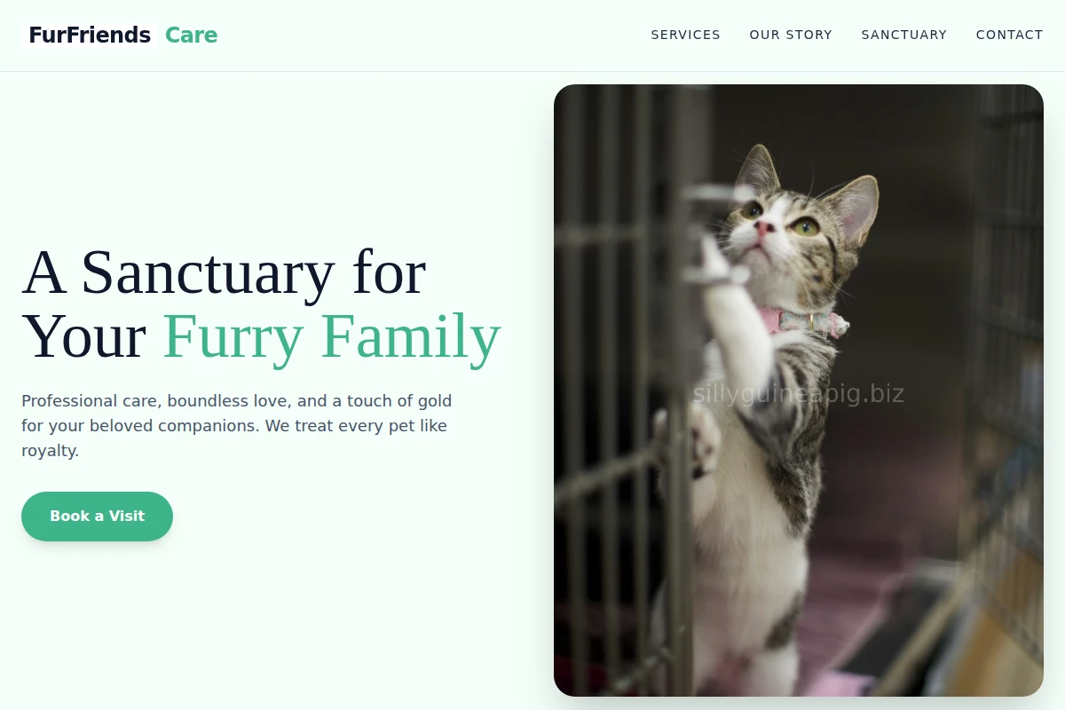 FurFriends Animal Care
