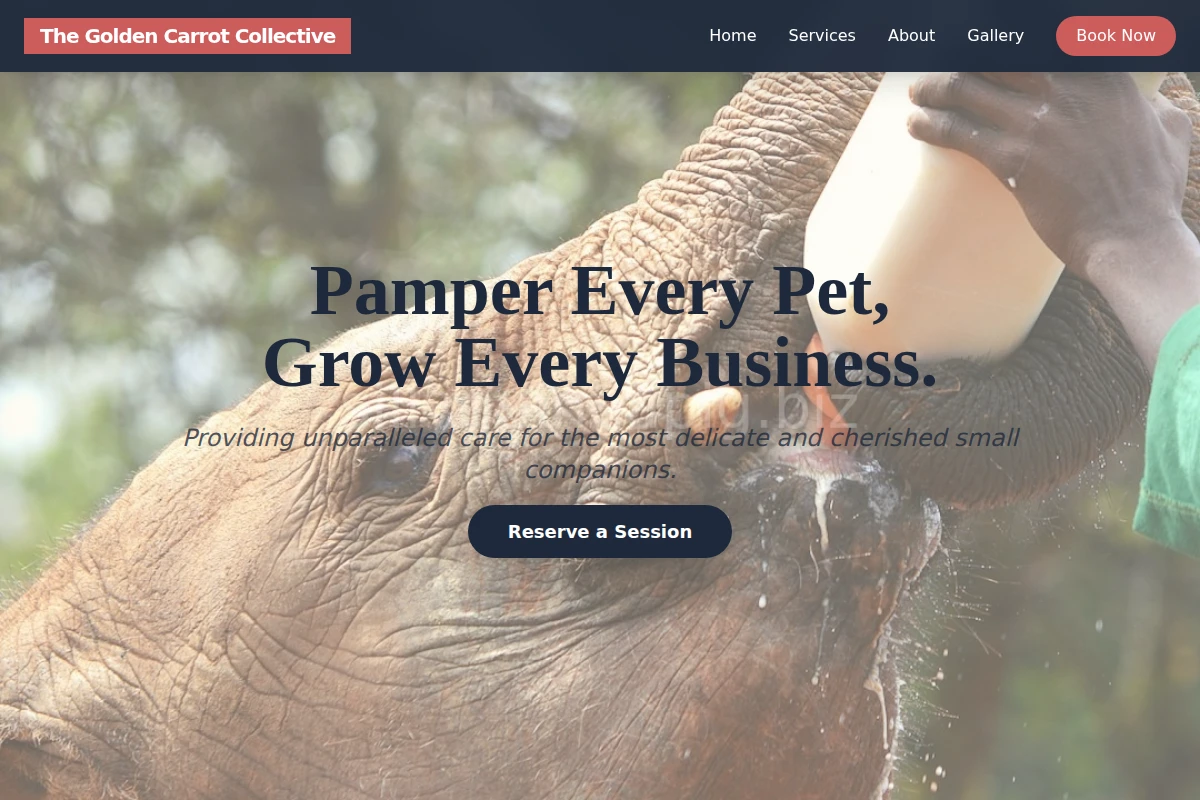 SmallPetStudio Animal Care