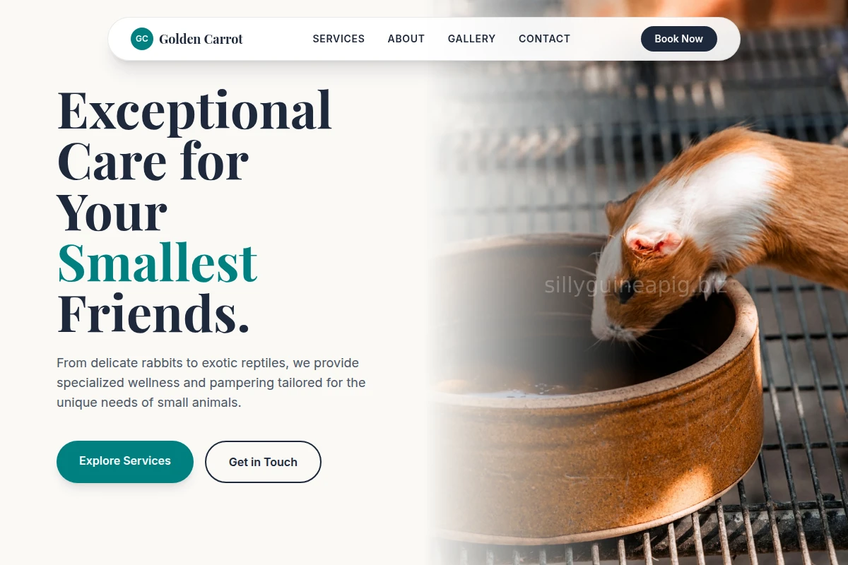 SmallPetStudio Animal Care