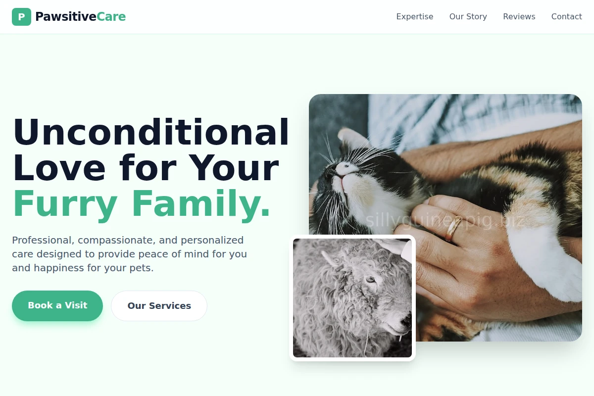 Pawsitive Animal Care