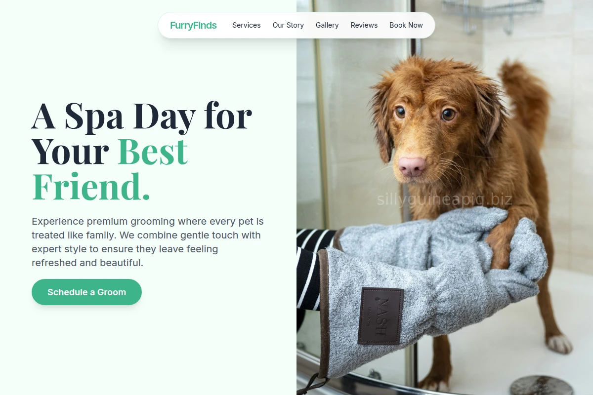 FurryFinds Pet Grooming