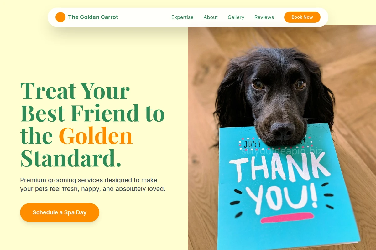 Grooming Pet Grooming