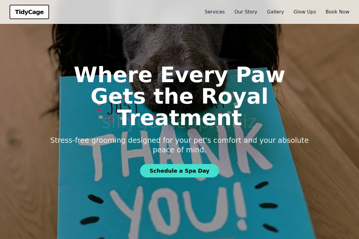 TidyCage Pet Grooming