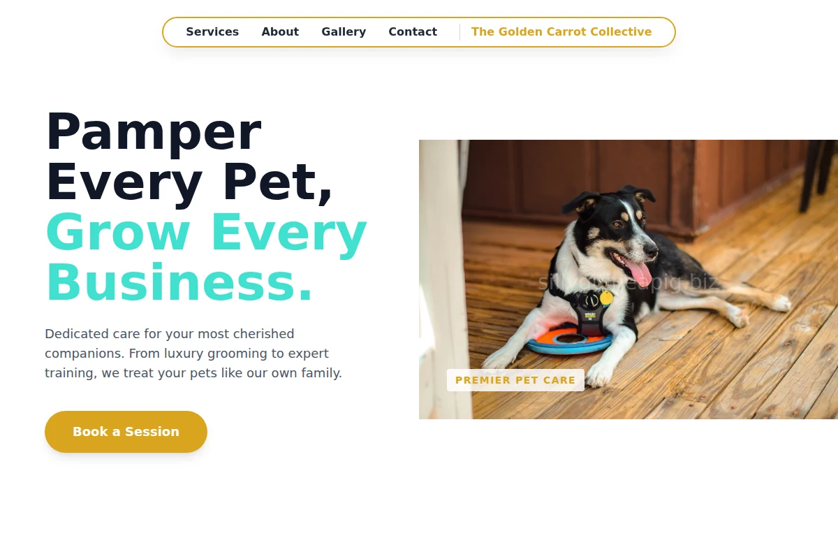 SmallPetStudio Pet Services
