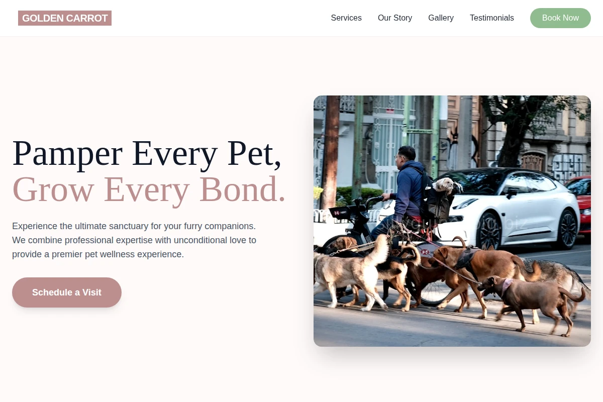 SmallPetStudio Pet Services