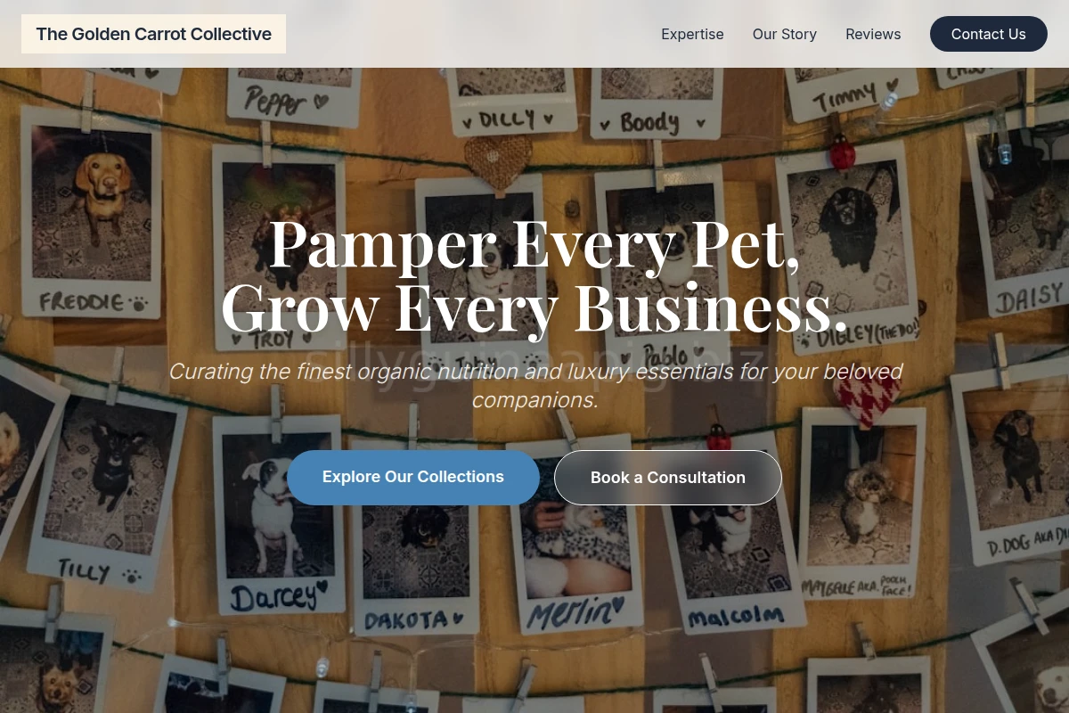 PetPassion Pet Shop