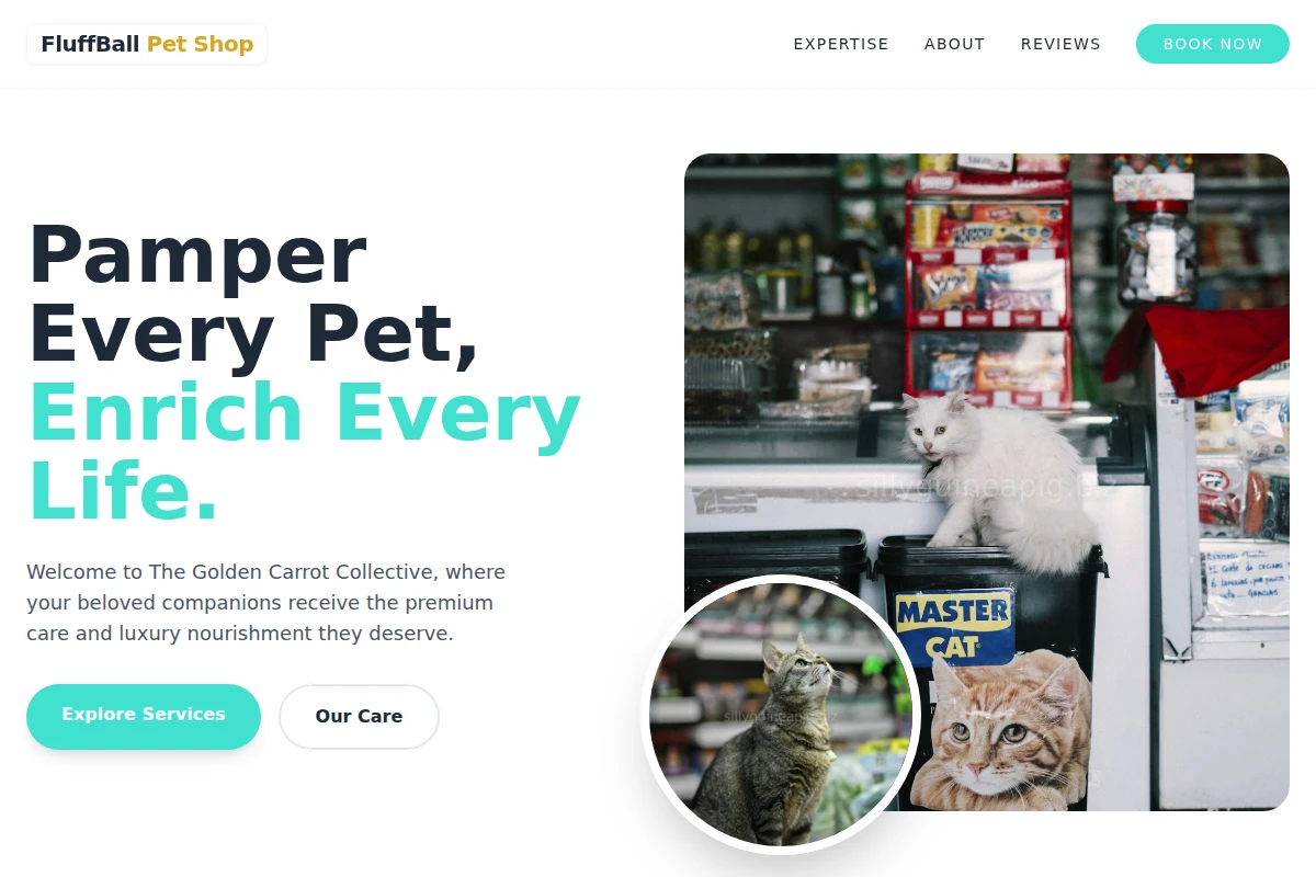FluffBall Pet Shop