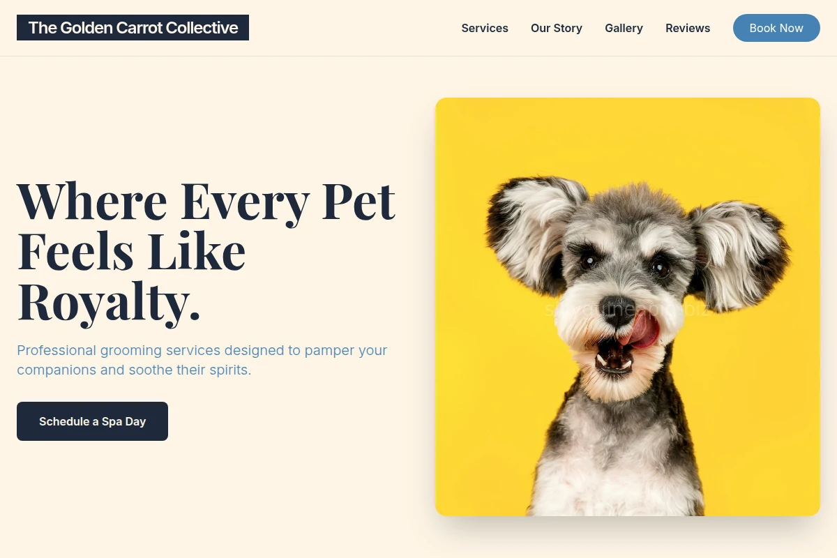 Grooming Pet Shop