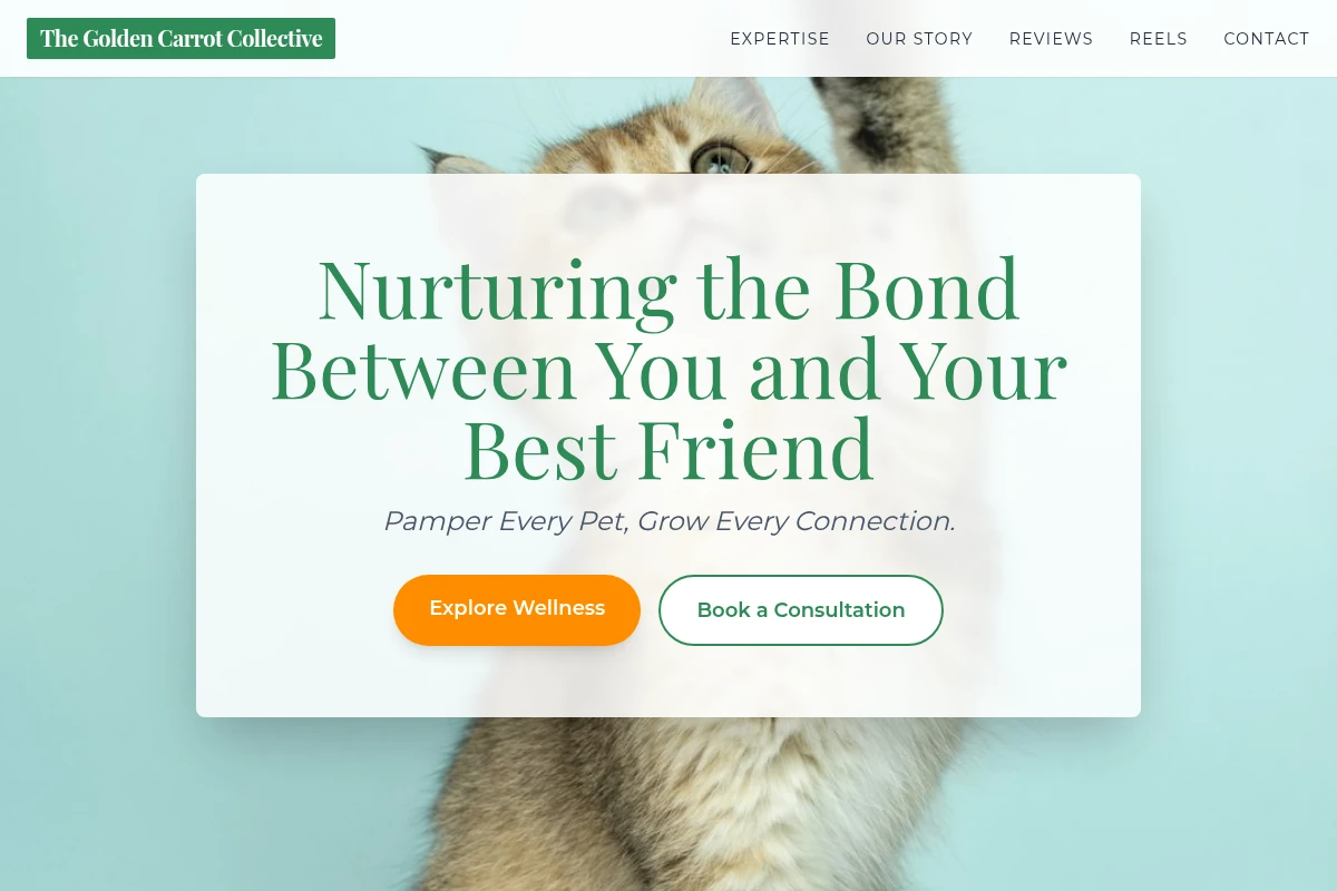 Wellness Pet Shop