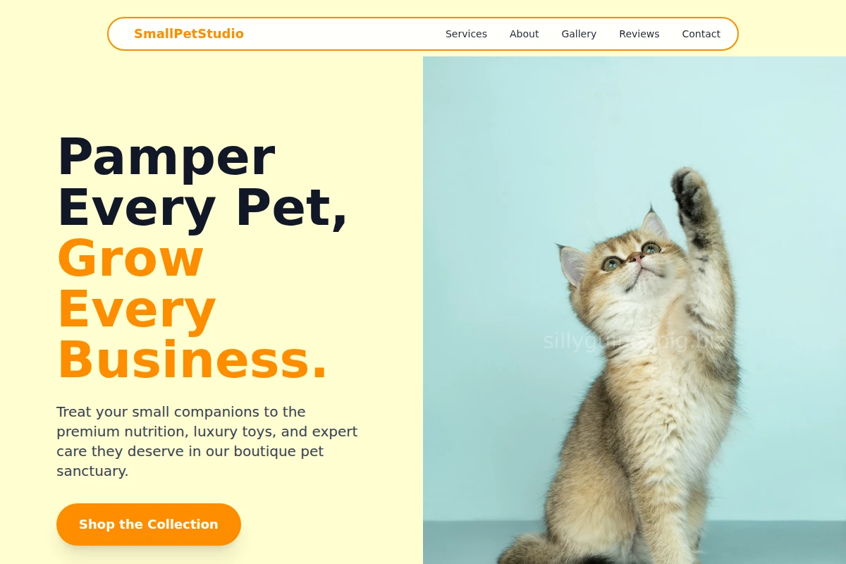 SmallPetStudio Pet Shop