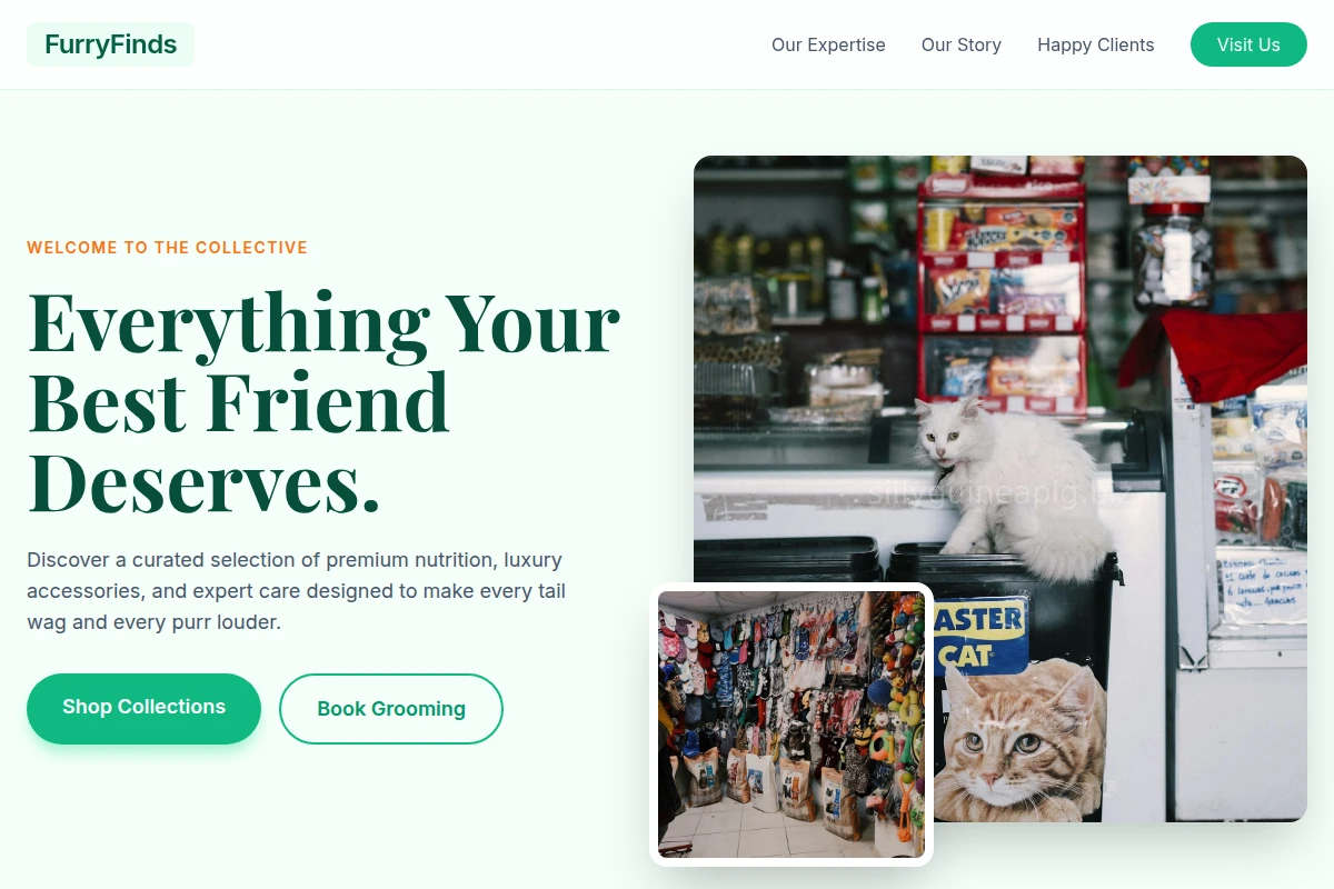 FurryFinds Pet Shop